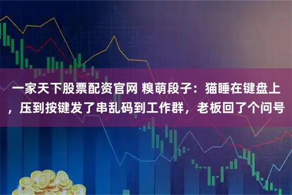 一家天下股票配资官网 糗萌段子：猫睡在键盘上，压到按键发了串乱码到工作群，老板回了个问号