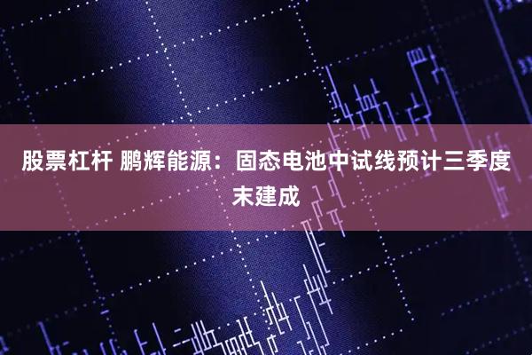 股票杠杆 鹏辉能源：固态电池中试线预计三季度末建成