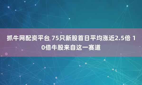 抓牛网配资平台 75只新股首日平均涨近2.5倍 10倍牛股来自这一赛道