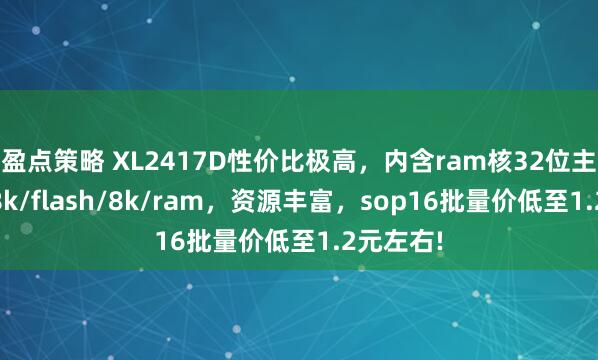 盈点策略 XL2417D性价比极高，内含ram核32位主控，128k/flash/8k/ram，资源丰富，sop16批量价低至1.2元左右!