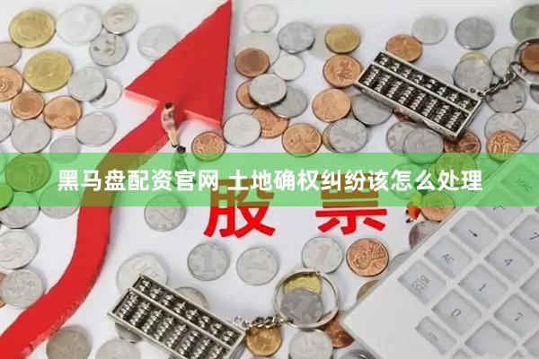 黑马盘配资官网 土地确权纠纷该怎么处理
