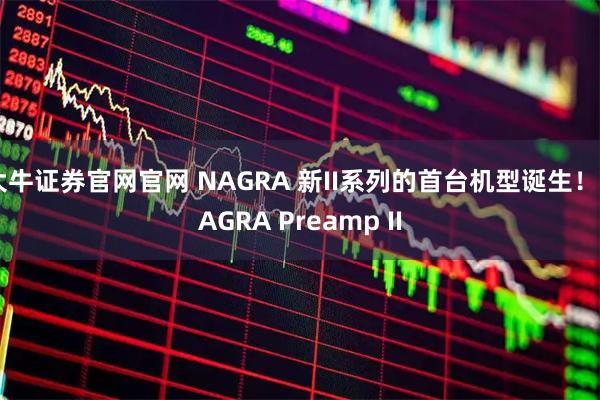 大牛证券官网官网 NAGRA 新II系列的首台机型诞生！NAGRA Preamp II