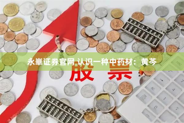 永崋证券官网 认识一种中药材：黄芩