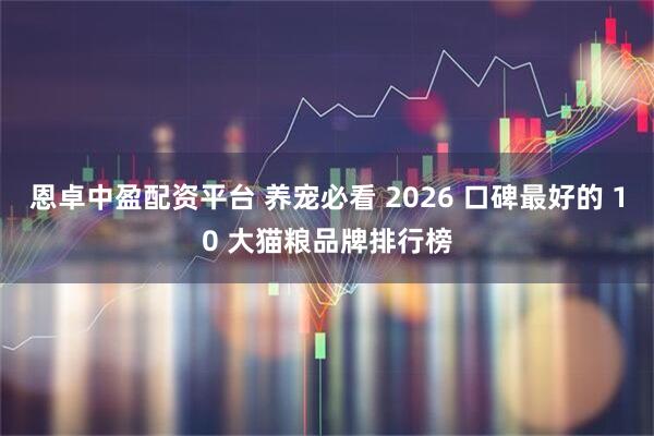 恩卓中盈配资平台 养宠必看 2026 口碑最好的 10 大猫粮品牌排行榜