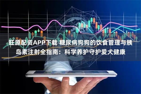 旺源配资APP下载 糖尿病狗狗的饮食管理与胰岛素注射全指南：科学养护守护爱犬健康